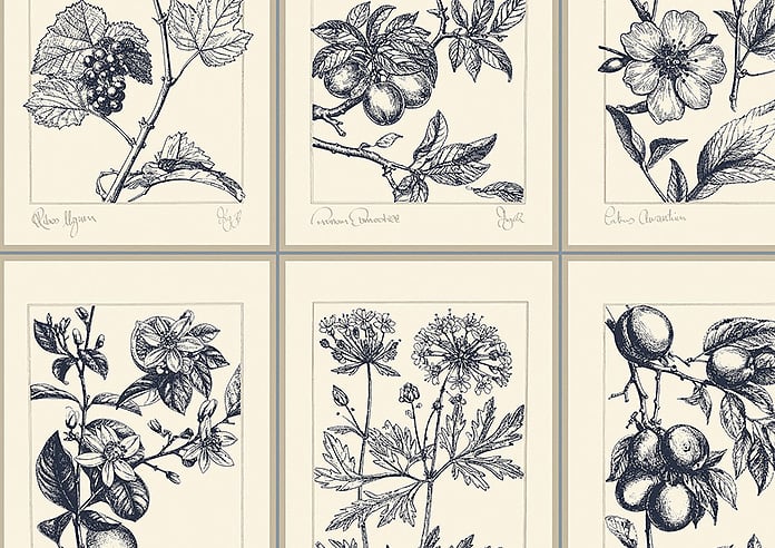 Sketchbook, Hudds - Roller Blind - Image 6